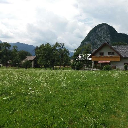Apartmaji Bremec Bohinj Eksteriør bilde