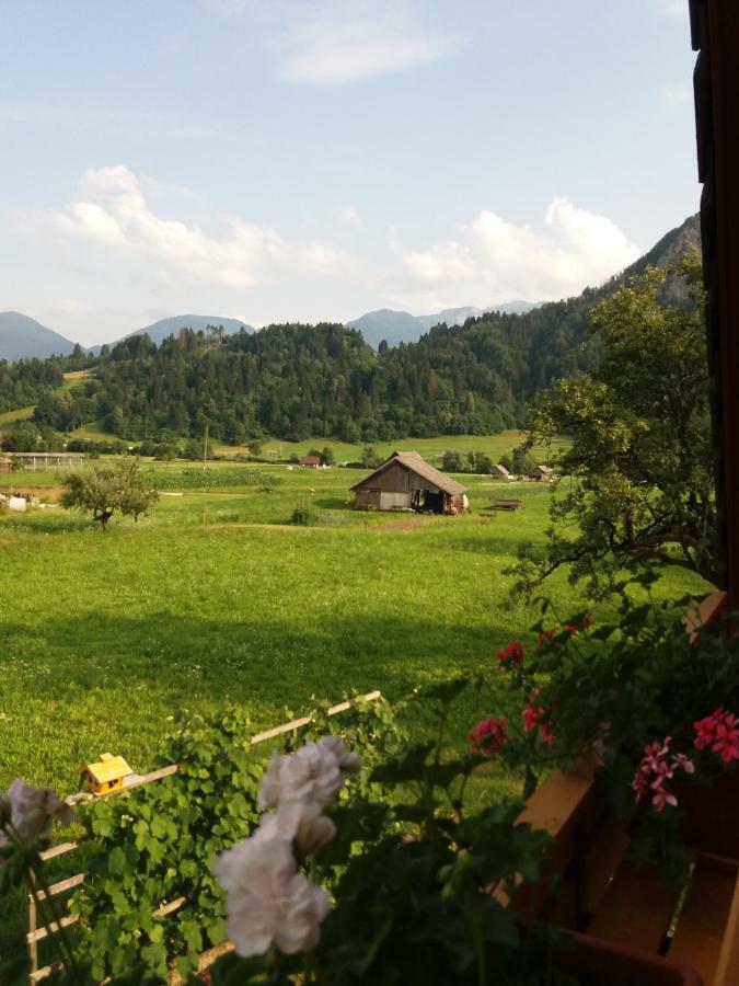 Apartmaji Bremec Bohinj Eksteriør bilde