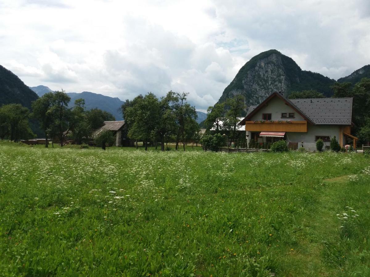 Apartmaji Bremec Bohinj Eksteriør bilde